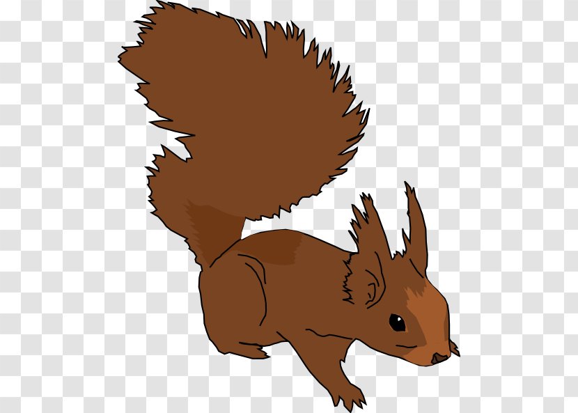 Squirrel Clip Art - Website - Cartoon Pictures Of Squirrels Transparent PNG