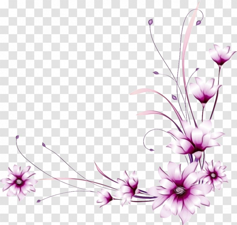 Cherry Blossom Background - Cherries - Wildflower Petal Transparent PNG