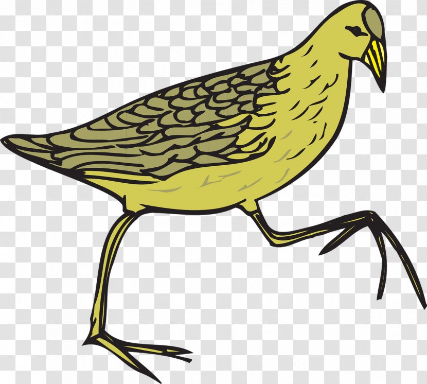 Common Quail Moorhen Bird Brown - Clip Art Transparent PNG