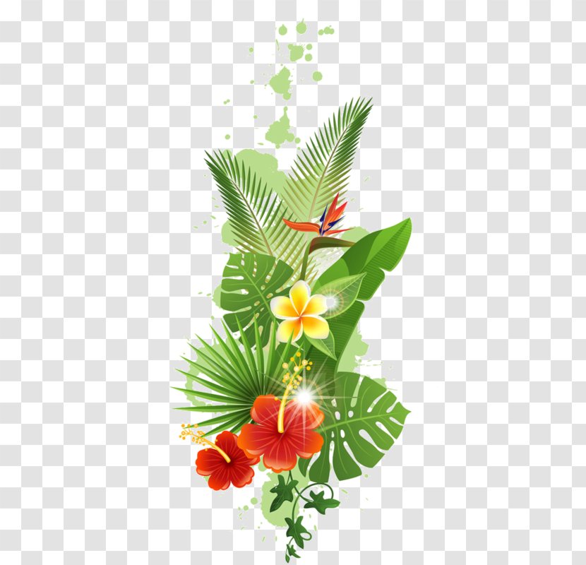 Tropics Tropical Rainforest Clip Art - Floristry - Flower TROPICAL Transparent PNG