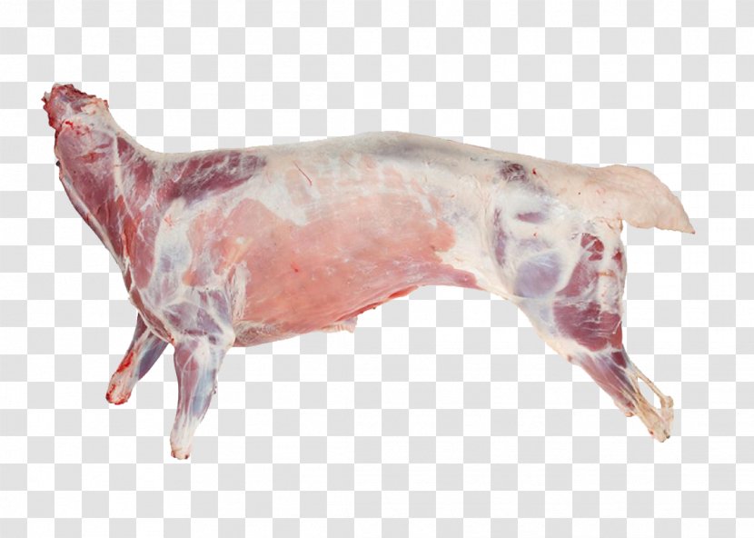 Sheep Lamb And Mutton Goat Halal Meat - Silhouette Transparent PNG