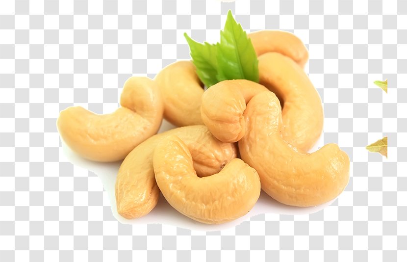 Cashew Goan Cuisine Nut Pistachio Almond - Tree Allergy - Nuts Transparent PNG