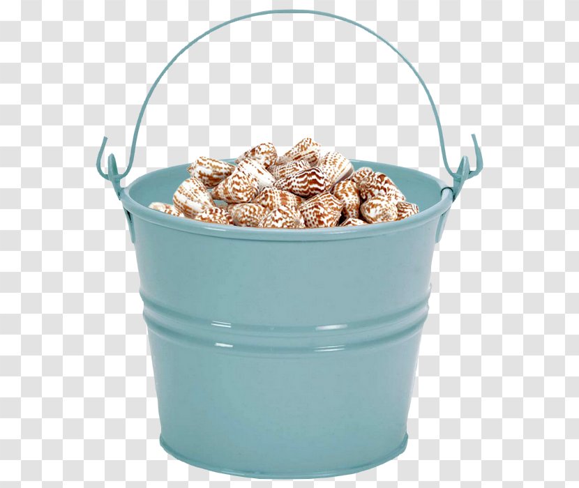 Flowerpot Beach Commodity Vacation 19/20 Transparent PNG
