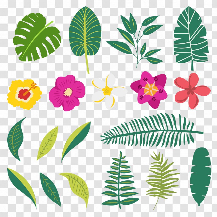 Plants Image Leaf Design - Plant - Bunga Transparent PNG