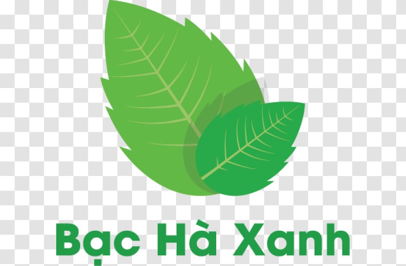 Tea Da Nang Logo Ingredient Drink - Trademark Transparent PNG