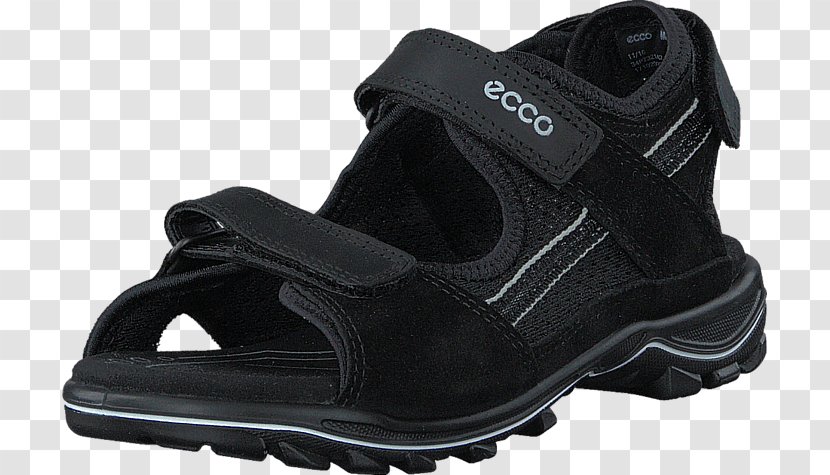 Oxford Shoe ECCO Sandal Sneakers - Hiking - Safari Kids Transparent PNG