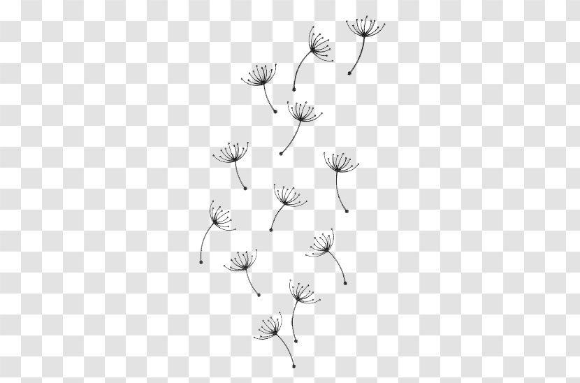 Dandelion Herbaceous Plant Illustration - Floating Transparent PNG