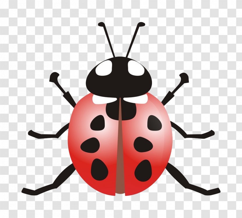 Ladybird Beetle Coccinella Septempunctata Clip Art - Red - Ladybug Transparent PNG