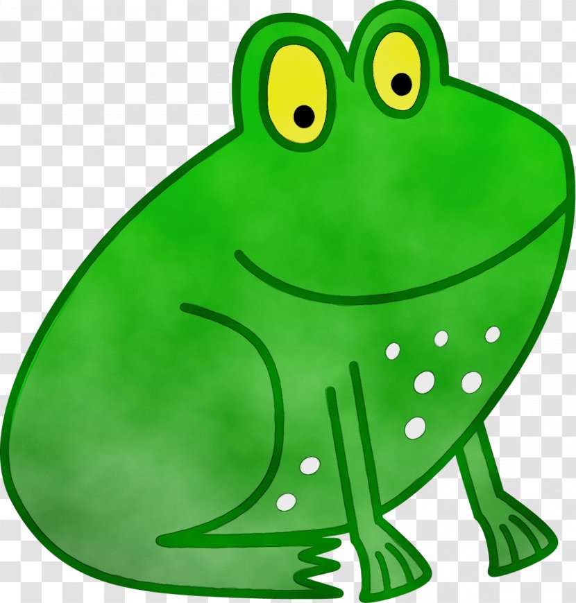 Watercolor Animal - Amphibian - Hyla True Frog Transparent PNG