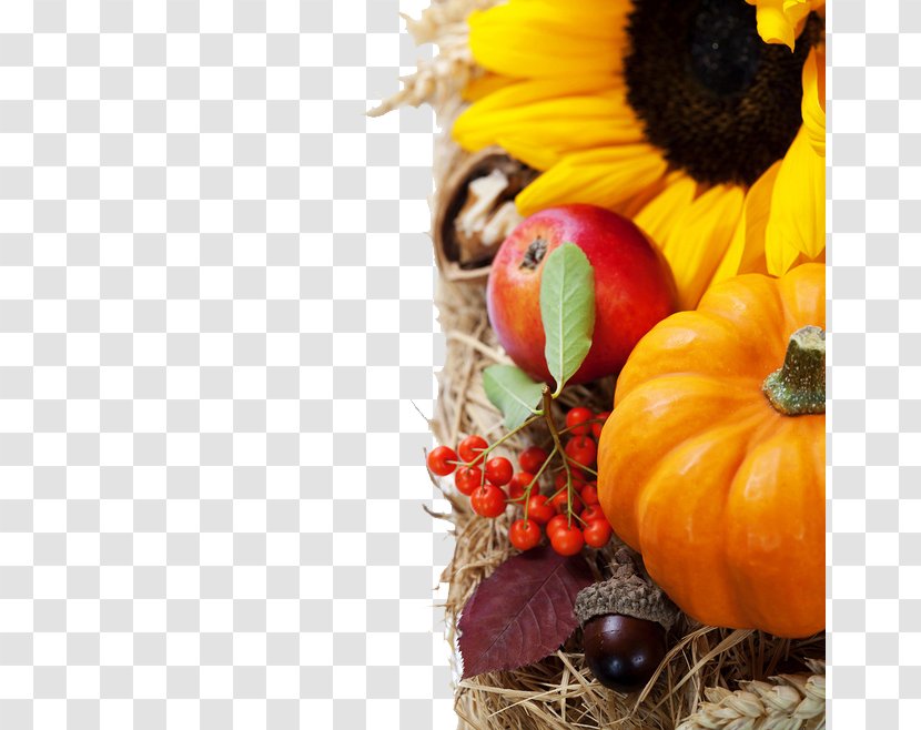 Autumn Still Life Pumpkin Clip Art - Photography - Fruits And Vegetables Transparent PNG