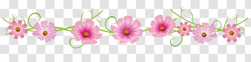 Autumn Line - Closeup - Cosmos Flower Drawings.Others Transparent PNG