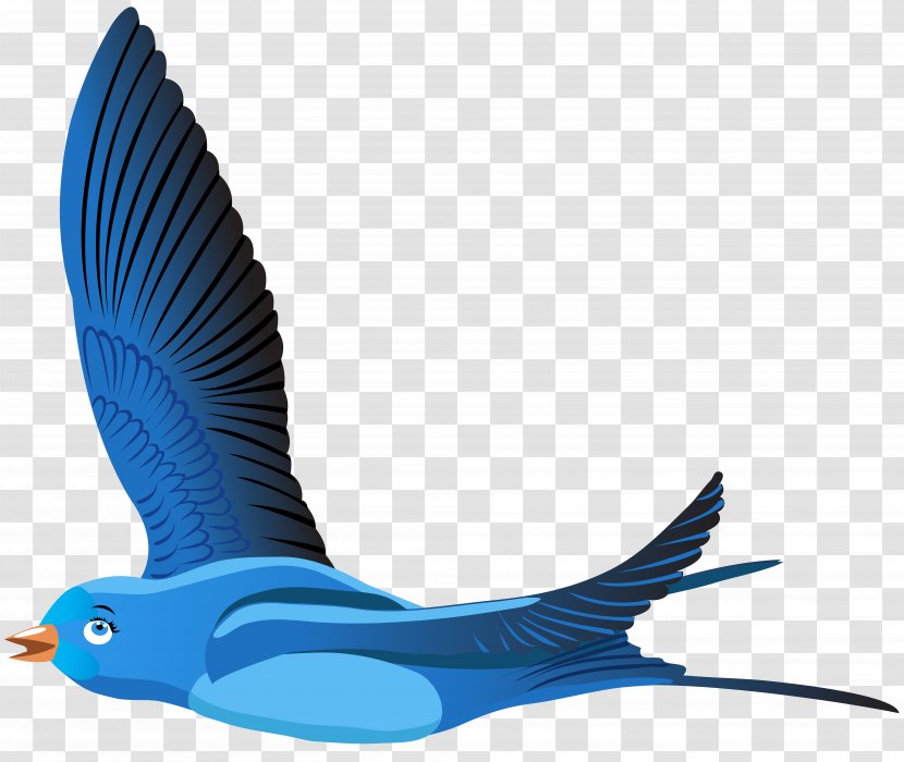 Bird Cartoon Clip Art - Blue Transparent Image Transparent PNG
