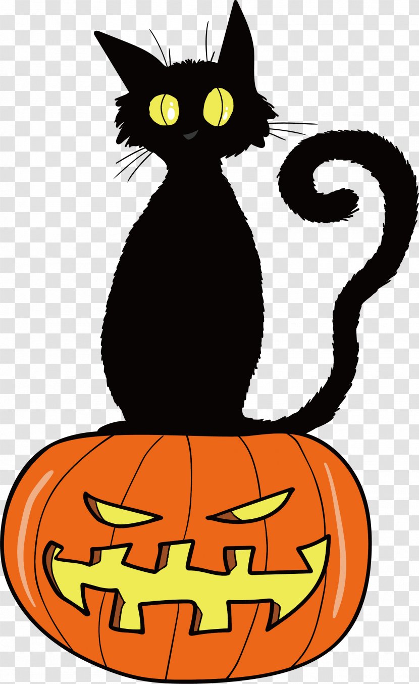 Black Cat Kitten Orange Whiskers - Clip Art - Fried Transparent PNG