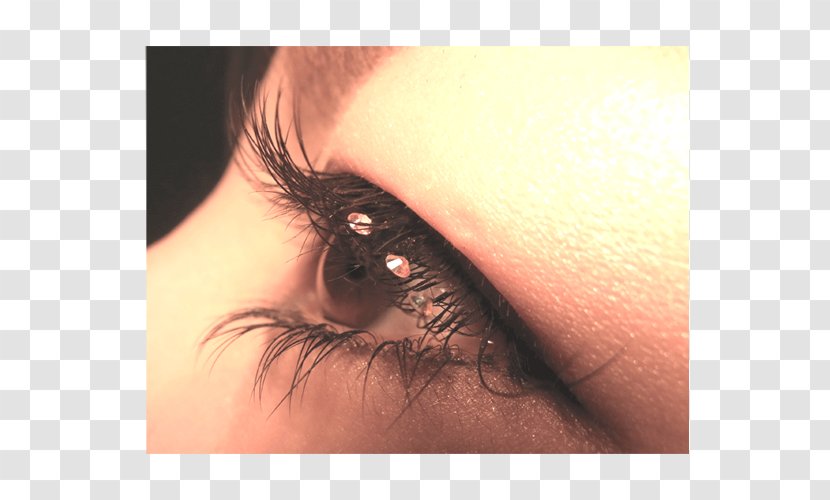 Eyelash Extensions Artificial Hair Integrations Eye Liner Mascara - Optical Shop Transparent PNG