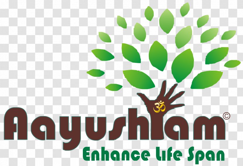 Logo Ayurveda Panchakarma Brand - Life Expectancy - Tree Transparent PNG