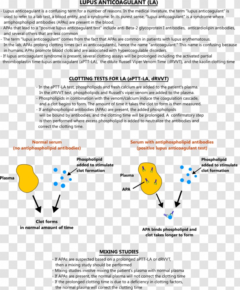 Lupus Anticoagulant Systemic Erythematosus Mixing Study - Text - Diagram Transparent PNG