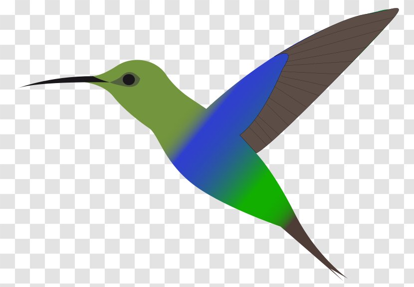 Hummingbird Free Content Clip Art - Bird - Cliparts Transparent PNG