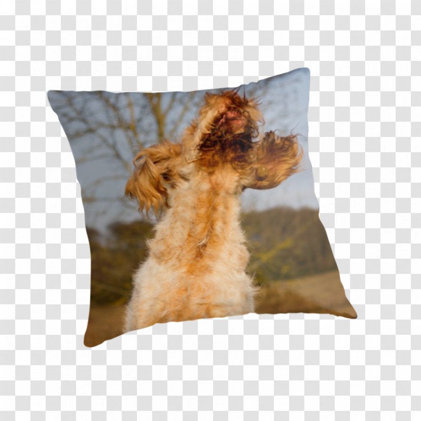 Dog Breed Throw Pillows Cushion - Pillow Transparent PNG