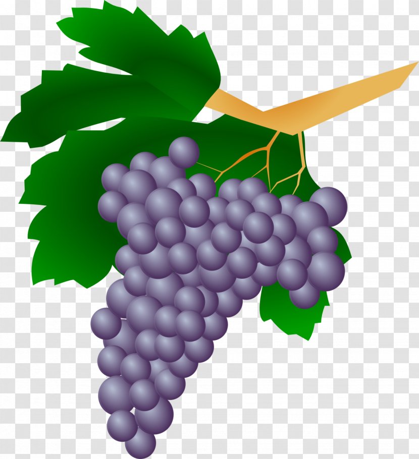 Wine Grapes Kyoho Viticulture - Grape Leaves - Grappe Transparent PNG