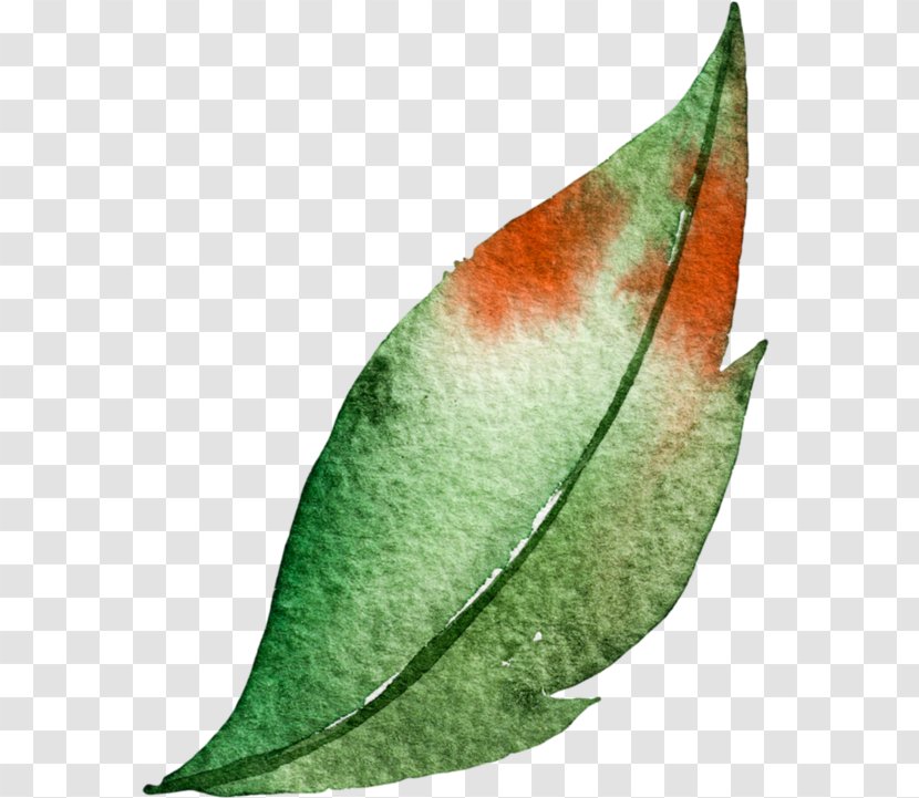 Watercolor Painting Leaf Green Transparent PNG
