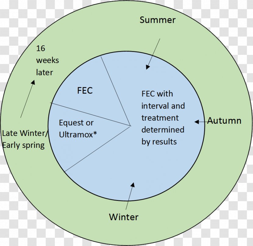 FC Metz Circle Angle Diagram Transparent PNG