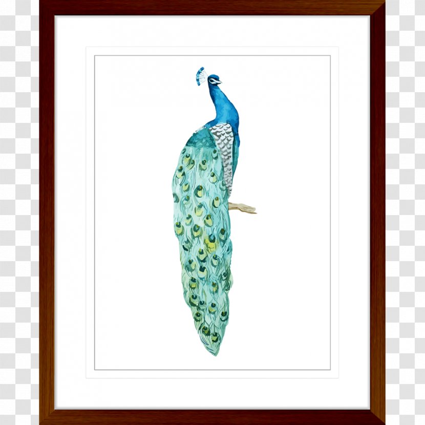 Bird Asiatic Peafowl Photography Feather - Stock - Watercolor Transparent PNG