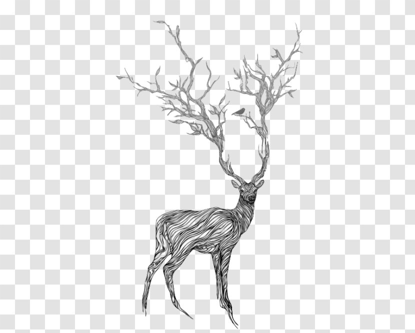 Deer Drawing Art Painting - Horn Transparent PNG