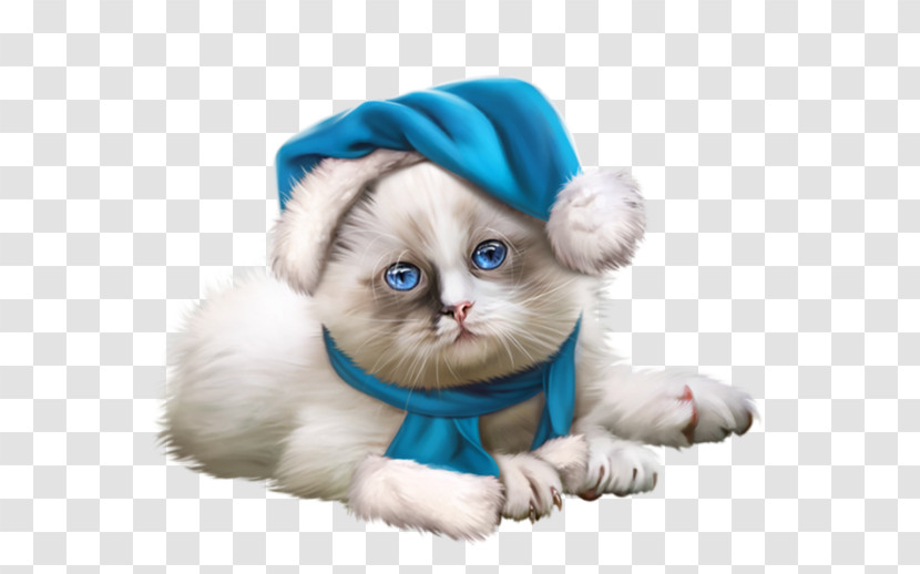 Cat Puppy Ragdoll Small To Medium-sized Cats Kitten Transparent PNG