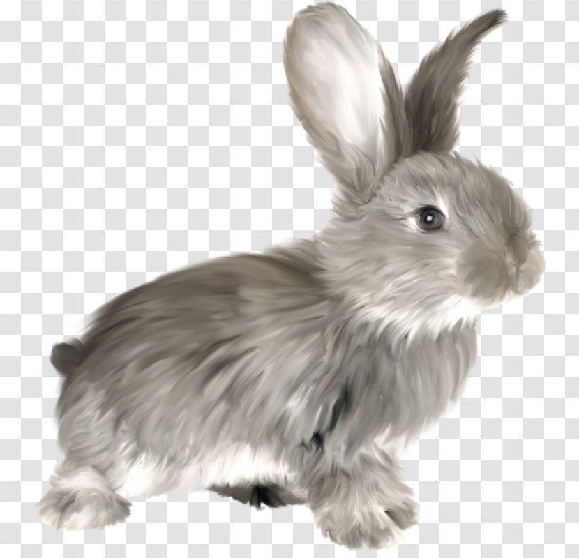 Rabbit Clip Art - Computer Cluster - Watercolor Bunny Transparent PNG