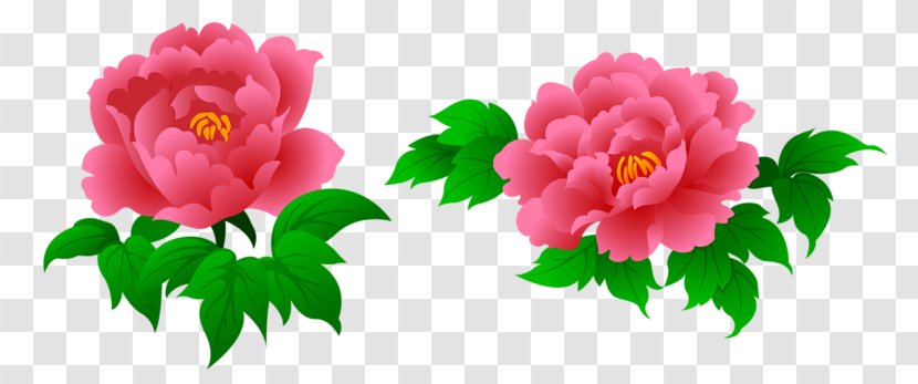 Peony Flower Clip Art - Garden Roses - Chrysanthemum Transparent PNG