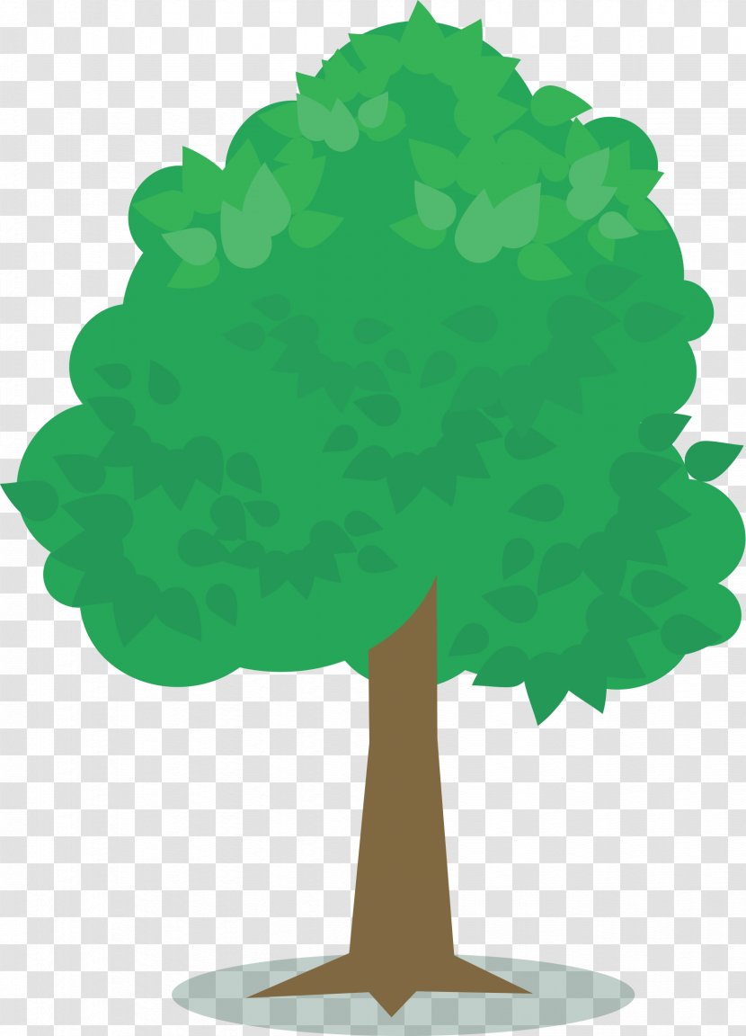 Tree Plant Albizia Julibrissin Clip Art - Grass Transparent PNG