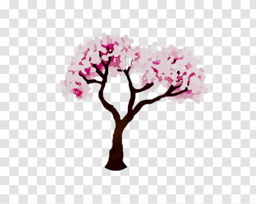 Cherry Blossom Cut Flowers Floral Design ST.AU.150 MIN.V.UNC.NR AD - Pink M - Plant Transparent PNG