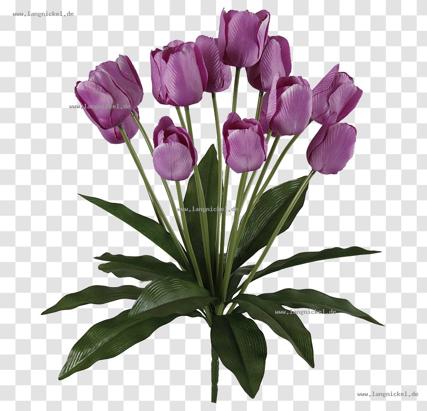 Floral Design Cut Flowers Tulip Flower Bouquet Transparent PNG