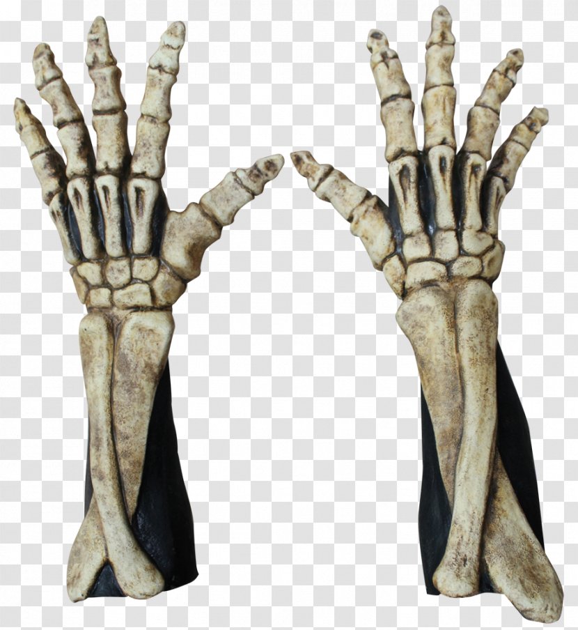 Robe Skeleton Finger Glove Hand Transparent PNG