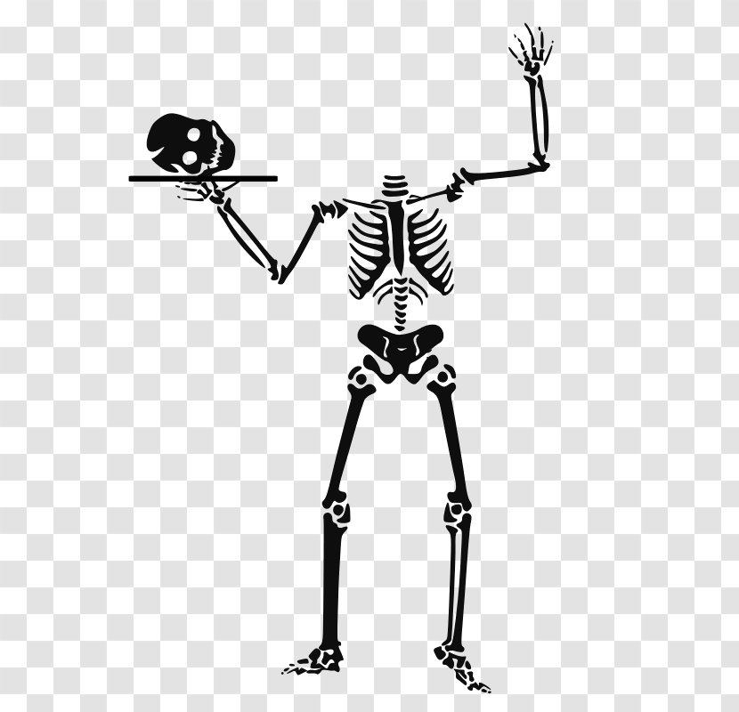 Vector Graphics Clip Art Skeleton Skull Image - Halloween Black Transparent PNG