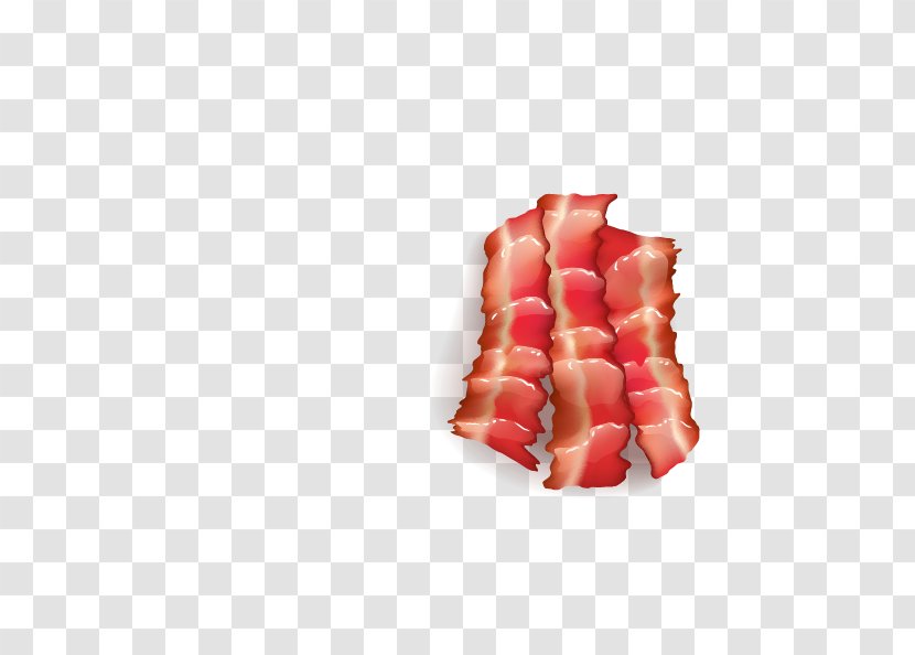 Dim Sum Breakfast Cartoon Illustration - Bread - Delicious Bacon Transparent PNG
