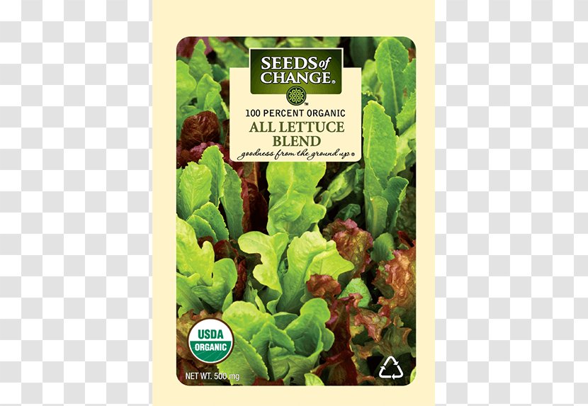 Romaine Lettuce Organic Food Seeds Of Change Transparent PNG