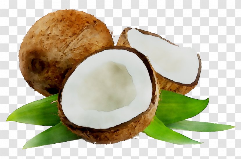 Nature's Way Organic Coconut Oil Food - Sesame Transparent PNG