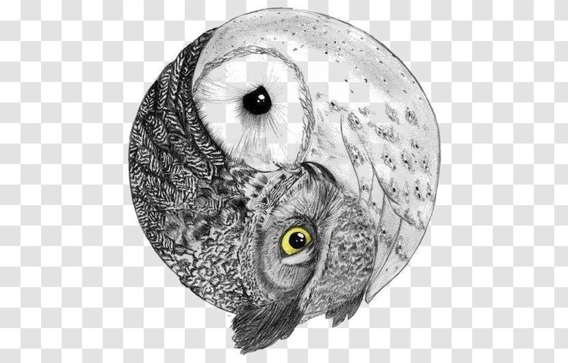 Barred Owl Yin And Yang Bird Barn - Heart Transparent PNG
