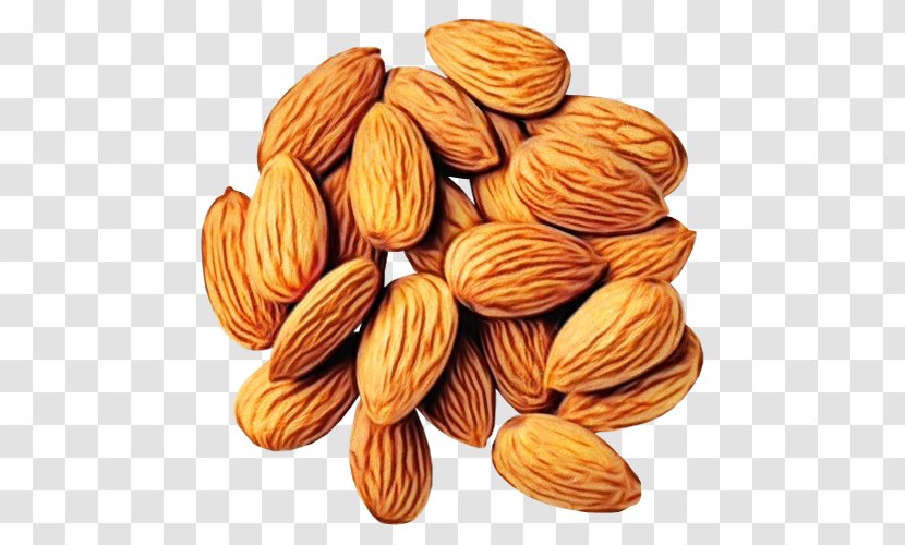 Almond Nut Food Apricot Kernel Nuts & Seeds - Cuisine - Ingredient Superfood Transparent PNG
