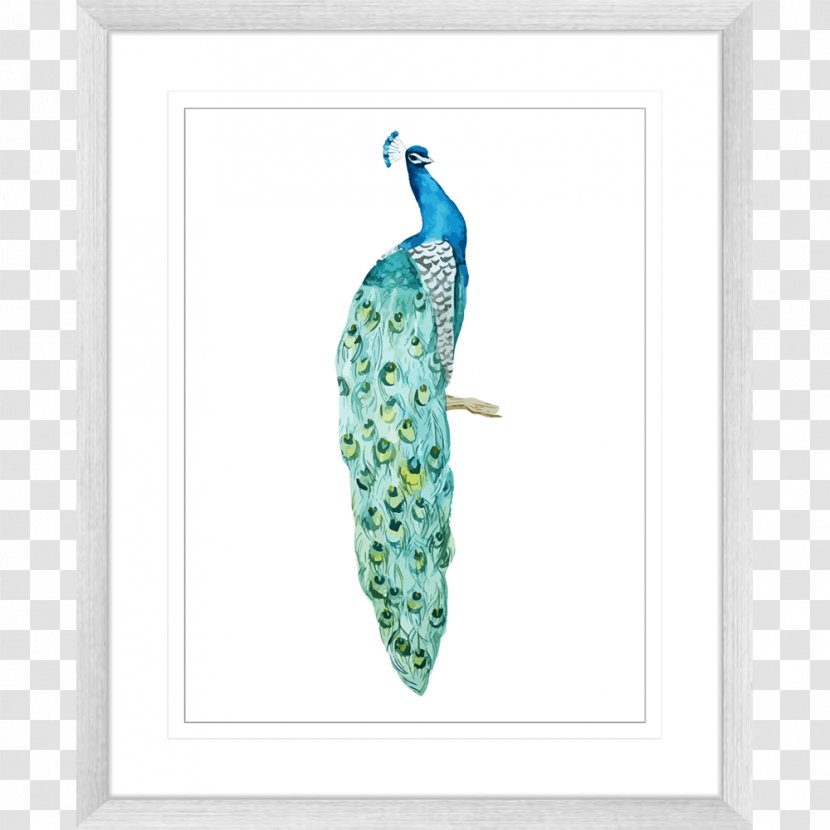 Bird Asiatic Peafowl Photography Feather - Drawing - Watercolor Transparent PNG