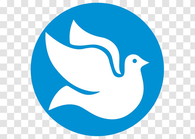 Bird Logo - Goose - Ducks Transparent PNG