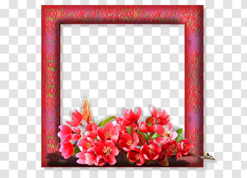 Woman Centerblog Birthday - Flower Transparent PNG