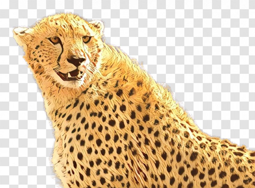 Desktop Wallpaper Tiger Cheetah Image Display Resolution - Organism Transparent PNG