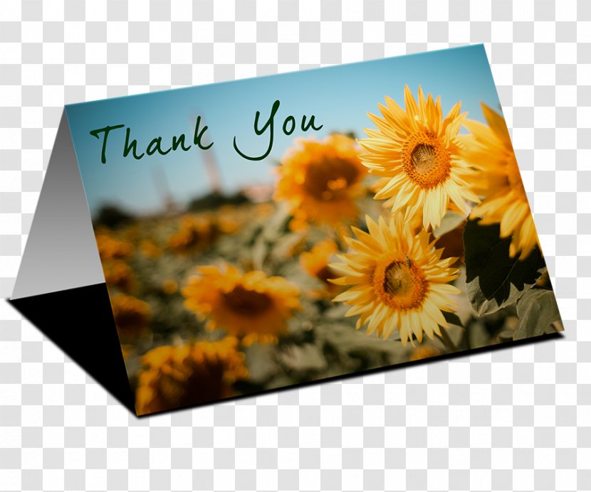 Floral Design Marketing Interior Services Sports - Thank You Greetings Transparent PNG