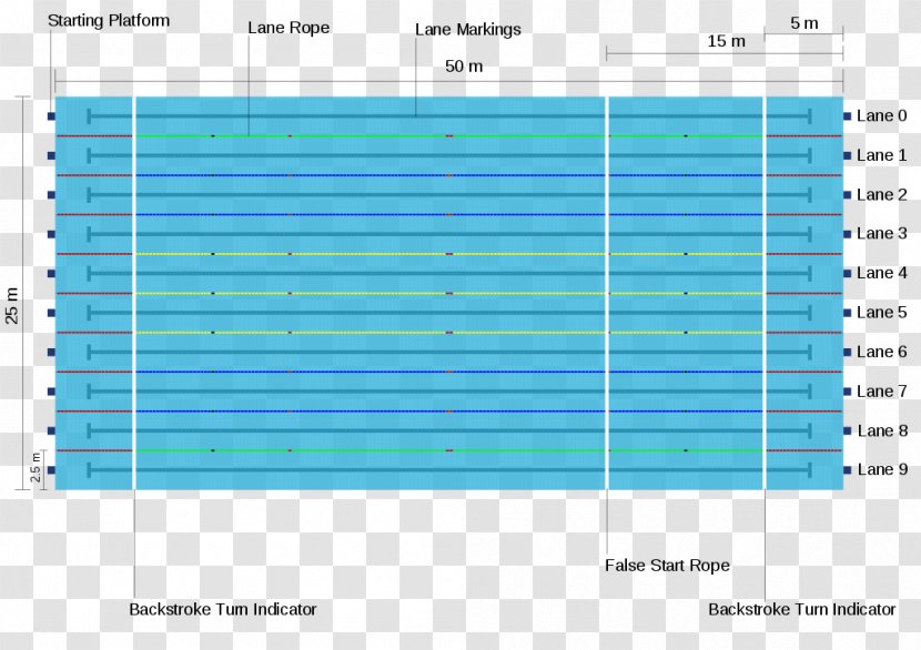 Olympic Games Olympic-size Swimming Pool At The Summer Olympics - Area Transparent PNG