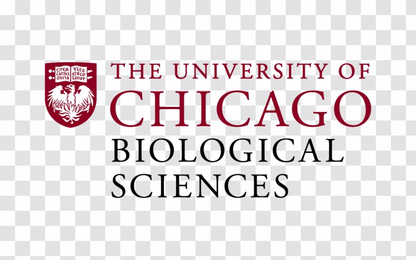 University Of Chicago Laboratory Schools Pritzker School Medicine - Dean Transparent PNG