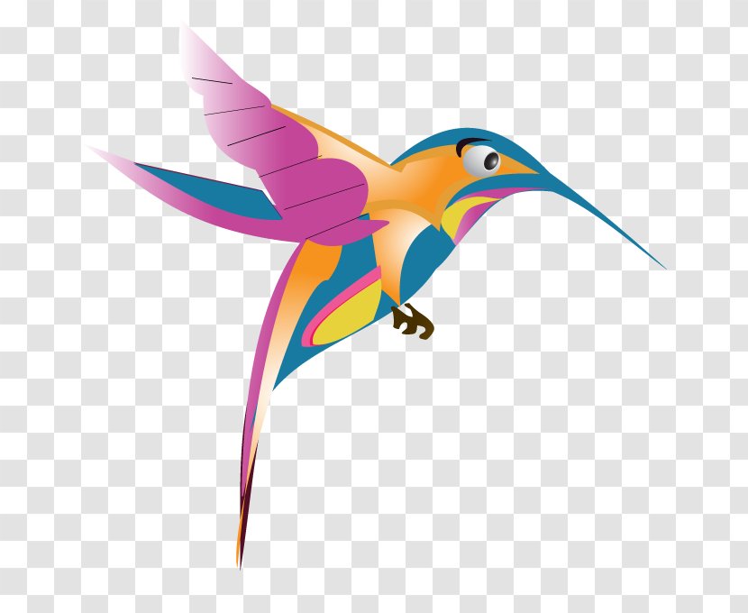 Google Hummingbird Images Transparent PNG