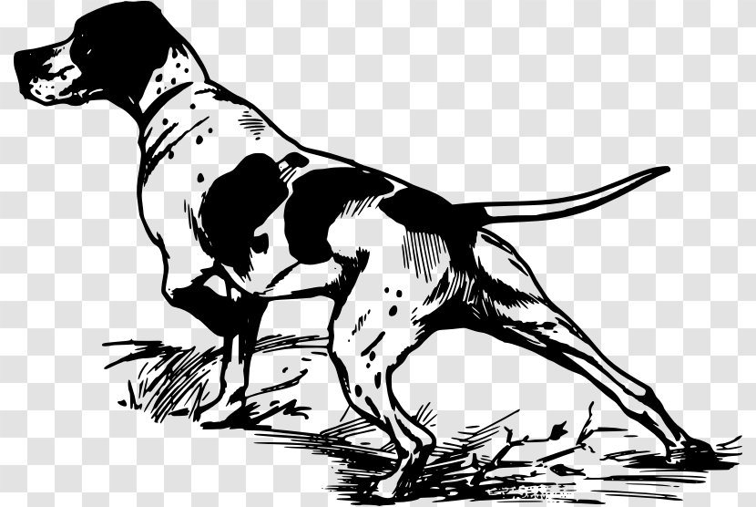 Pointer Greyhound Hunting Dog Clip Art - Duck Transparent PNG