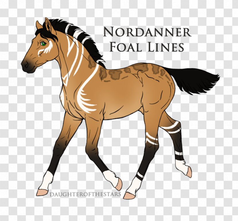 Foal Mare Pony Colt Stallion - Halter - Mustang Transparent PNG